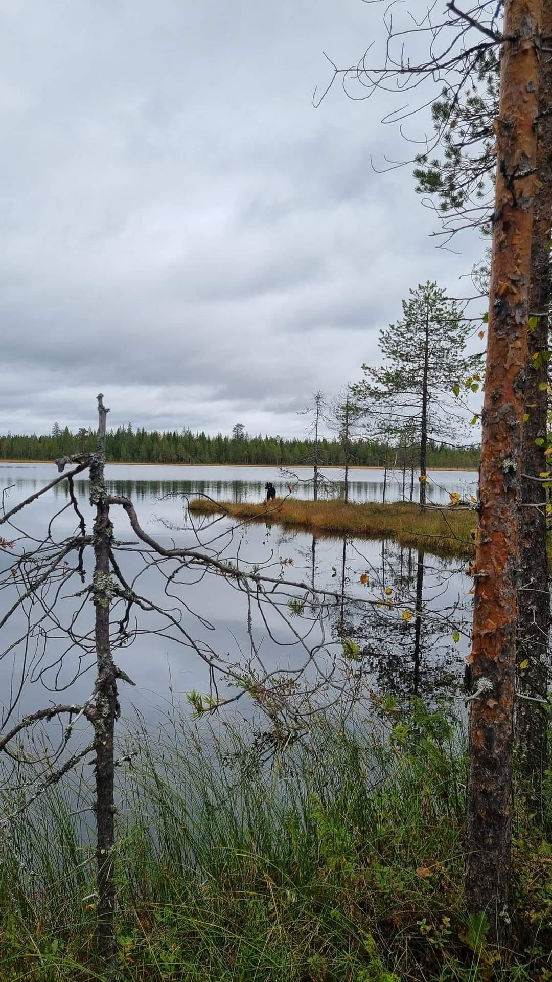 Suomussalmelaista maisemaa